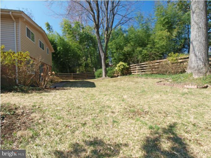 807 North Belgrade Road Silver Spring, MD 20902 - Photo 25 of 25 Back Yard