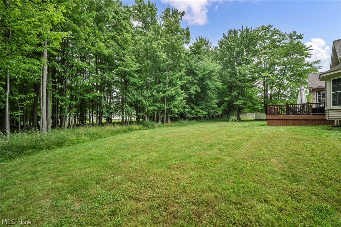 29345 White Road Wickliffe, OH 44092 - Photo 43 of 45 Gallery Image 43
