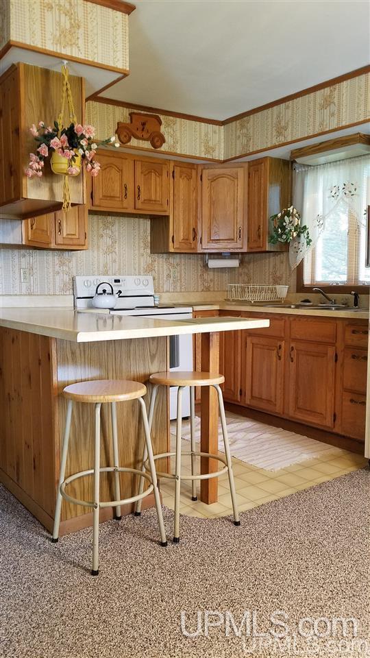 74 Mohawk Street Mohawk, MI 49950 - Photo 2 of 24 Gallery Image 2