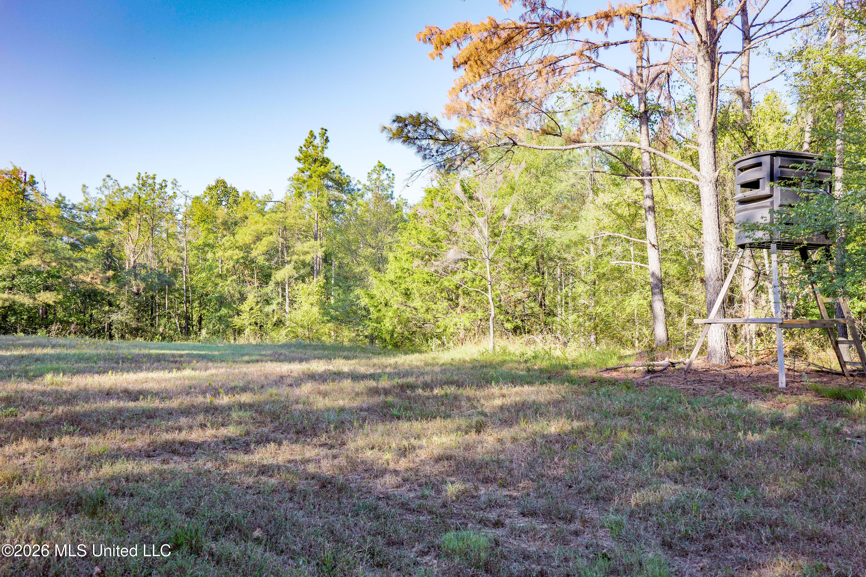 2000 Deer Creek Road Batesville, MS 38606 - Photo 32 of 54 Gary Woody Property (35)