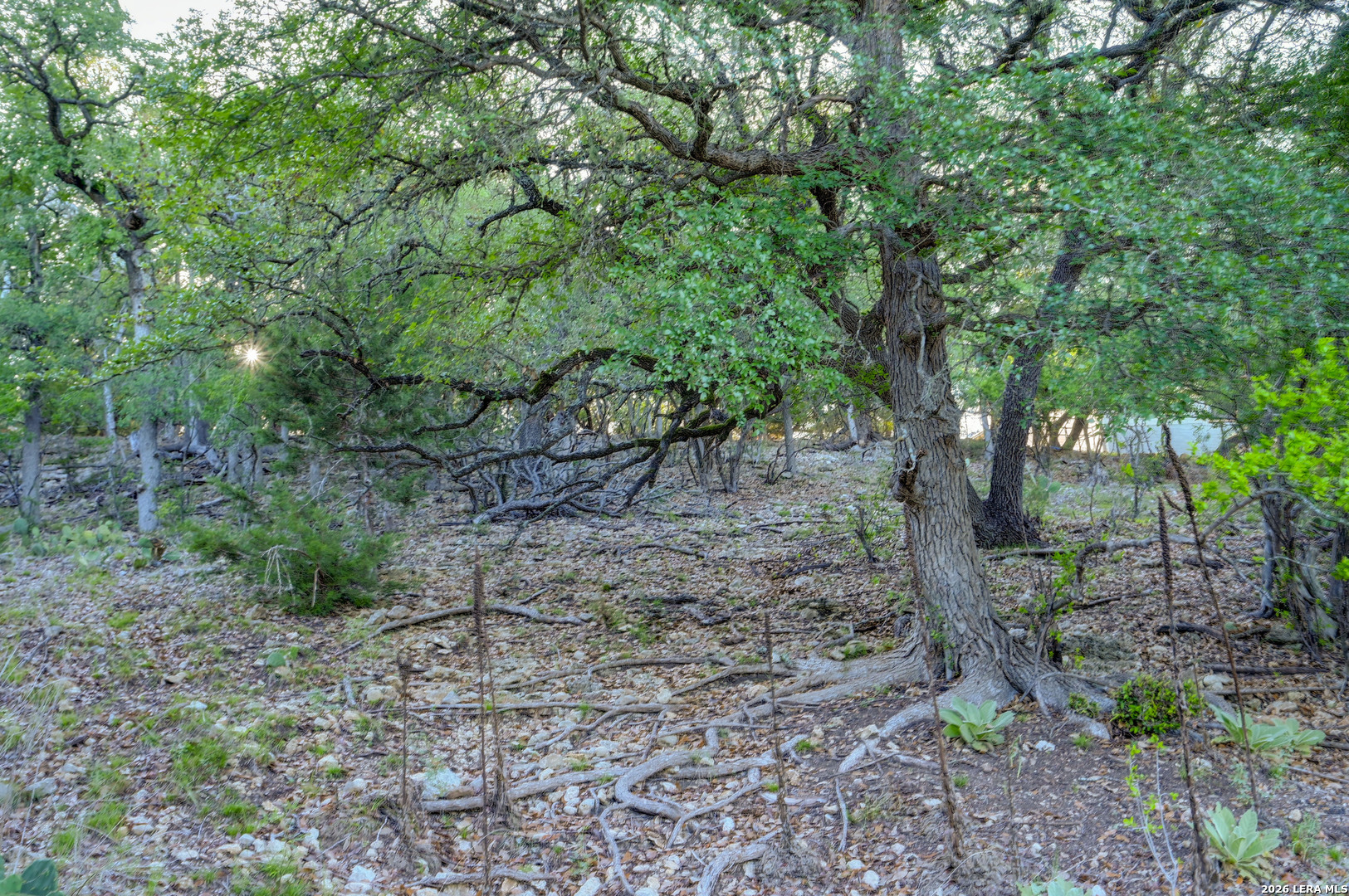 315 Rittimann Road Spring Branch, TX 78070 - Photo 43 of 51
