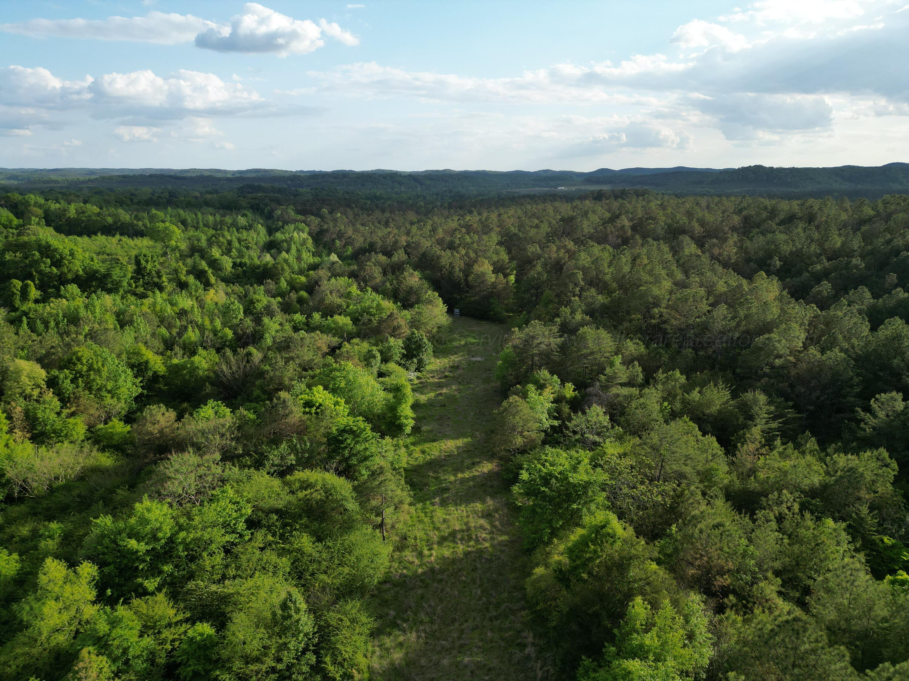 0 Dogtown Road Carbon Hill, AL 35549 - Photo 14 of 23 dji_fly_20260414_031510_727_177673608894