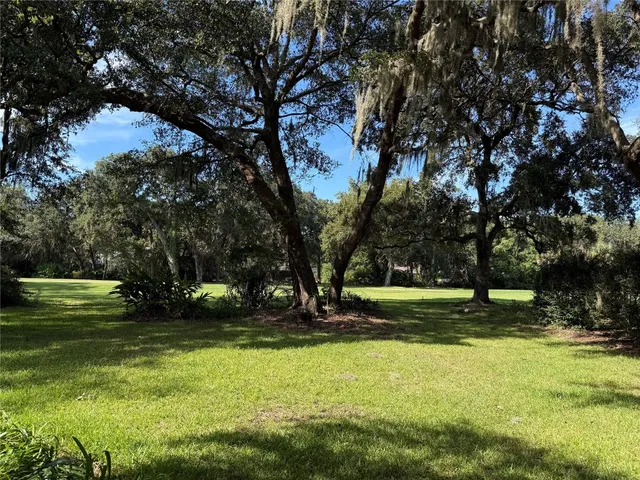 a view of a park with large trees