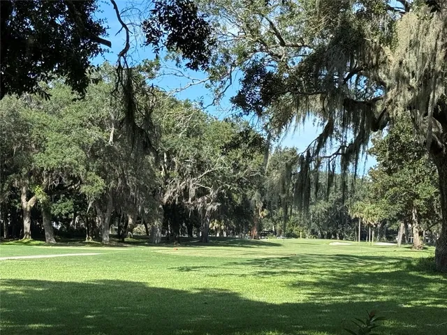a view of a park with a tree in the background