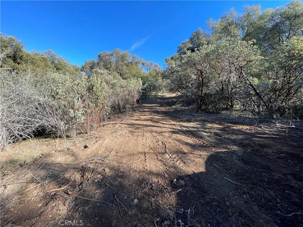 20 Harris Cut Off Road Mariposa, CA 95338 - Photo 5 of 10 a view of dirt yard with a large tree