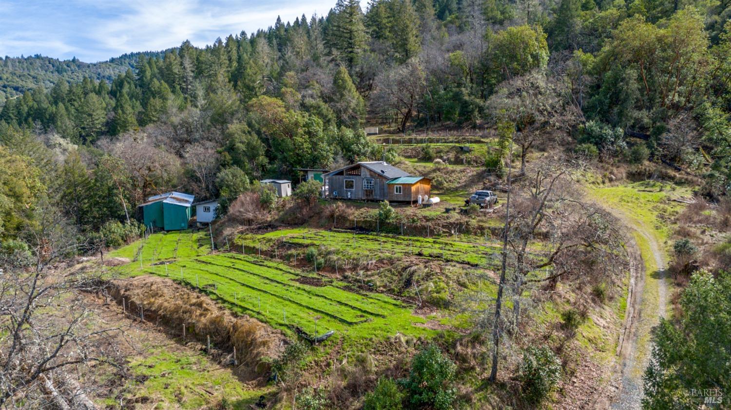41575 Covelo Road Willits, CA 95490 - Photo 1 of 1 Gallery Image 1