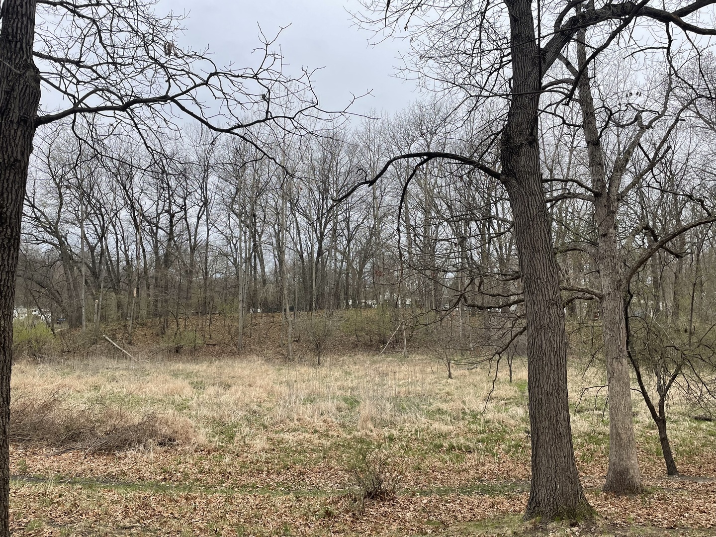12-13 Woodhaven Lakes Sublette, IL 61367 - Photo 7 of 26 a backyard of a house with lots of green space
