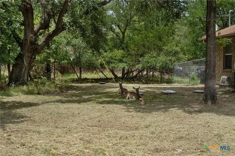 a view of a tree in the middle of a yard