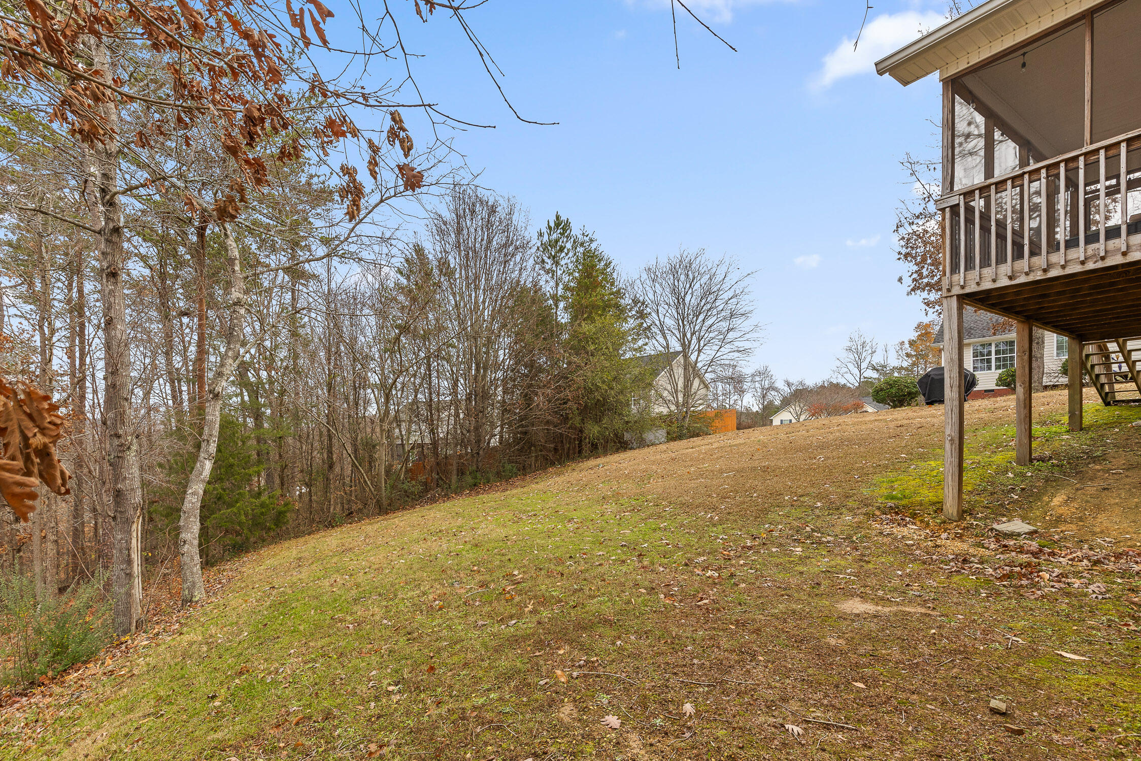 243 Stanford Drive Flintstone, GA 30725 - Photo 43 of 44 Backyard
