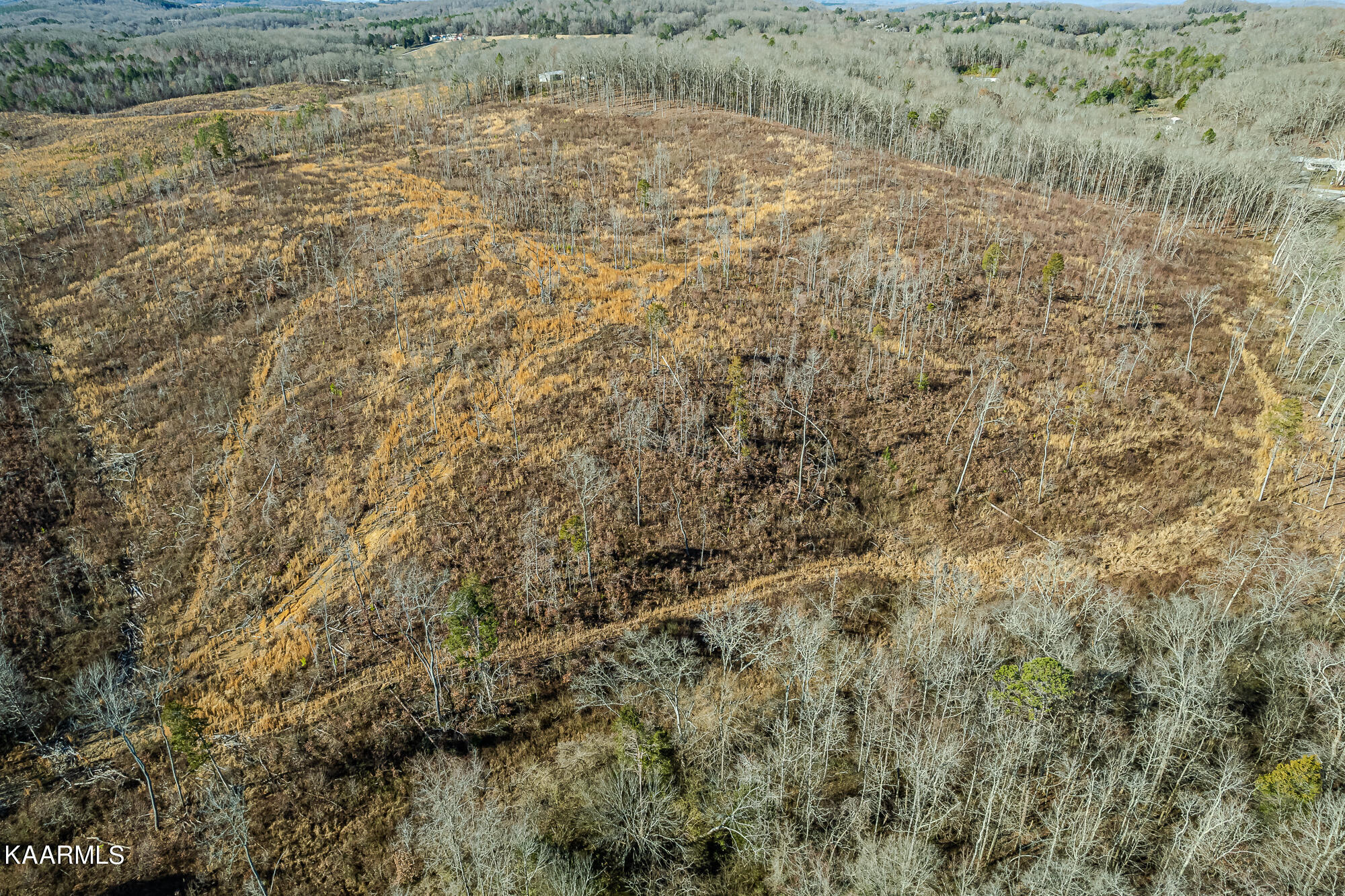 0 Euchee Road Road Ten Mile, TN 37880 - Photo 36 of 41 TenMile-6