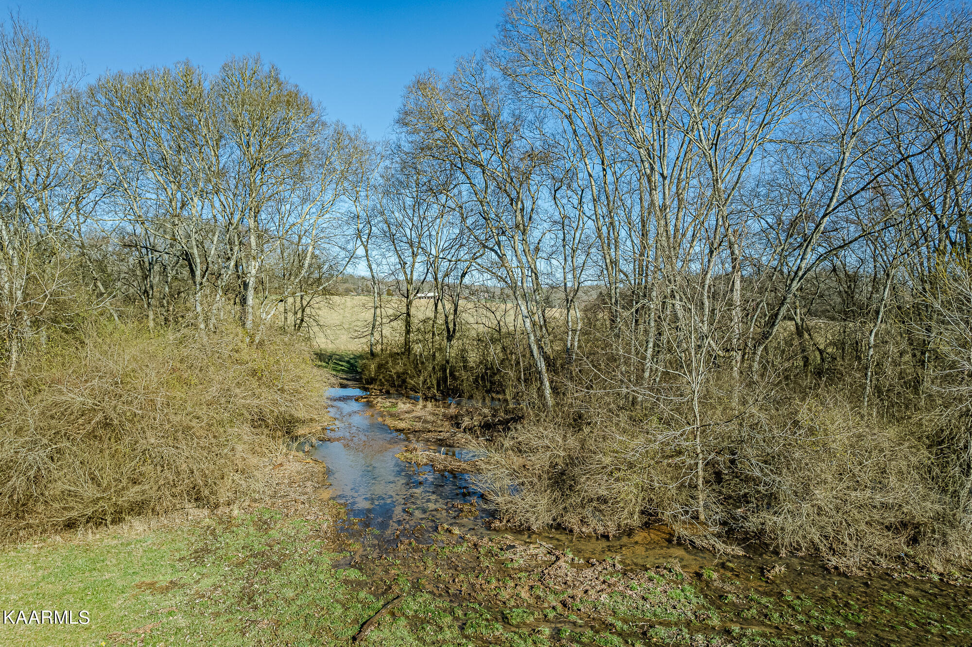 0 Euchee Road Road Ten Mile, TN 37880 - Photo 6 of 41 TenMile-25