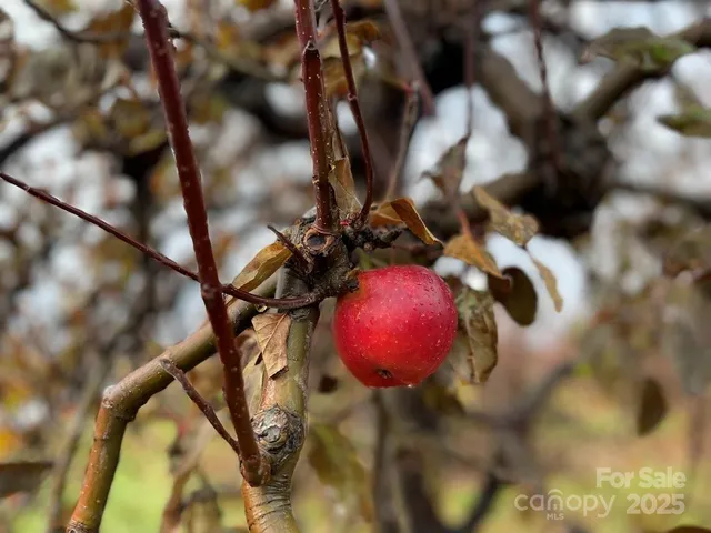 $349,999 | 37 Bittersweet Drive, Hendersonville, NC 28792