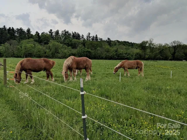 $349,999 | 37 Bittersweet Drive, Hendersonville, NC 28792