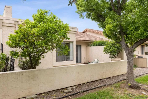 front view of a house with a tree