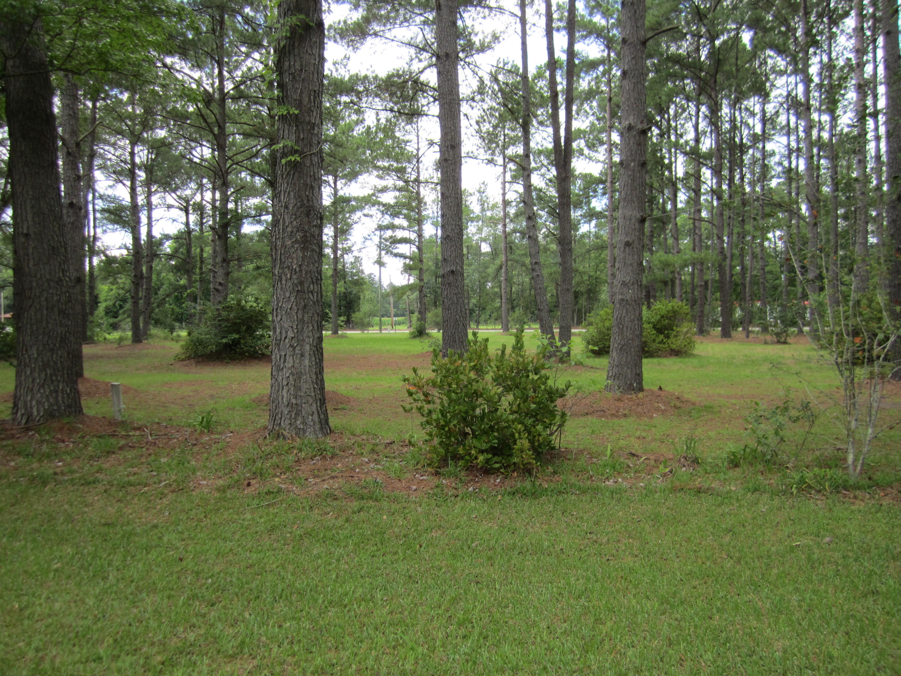 6916 Sidneys Road Round O, SC 29474 - Photo 2 of 11 6916 Sidneys Rd 016