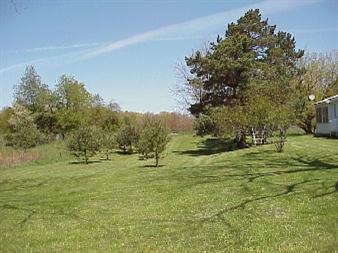 7890 East Sugar Grove Road Fountain, MI 49410 - Photo 5 of 6 Additional Photo