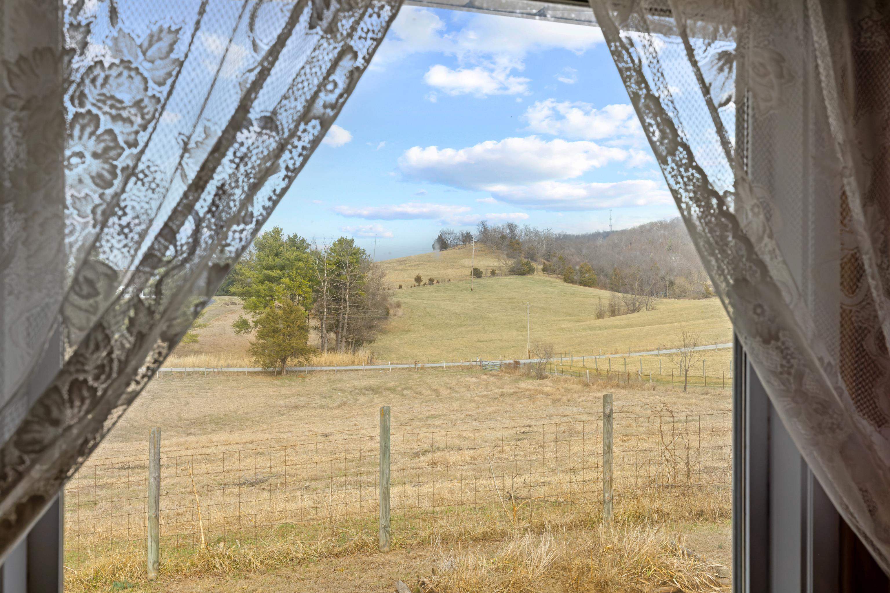 3493 Zion Church Road Broadway, VA 22815 - Photo 11 of 74