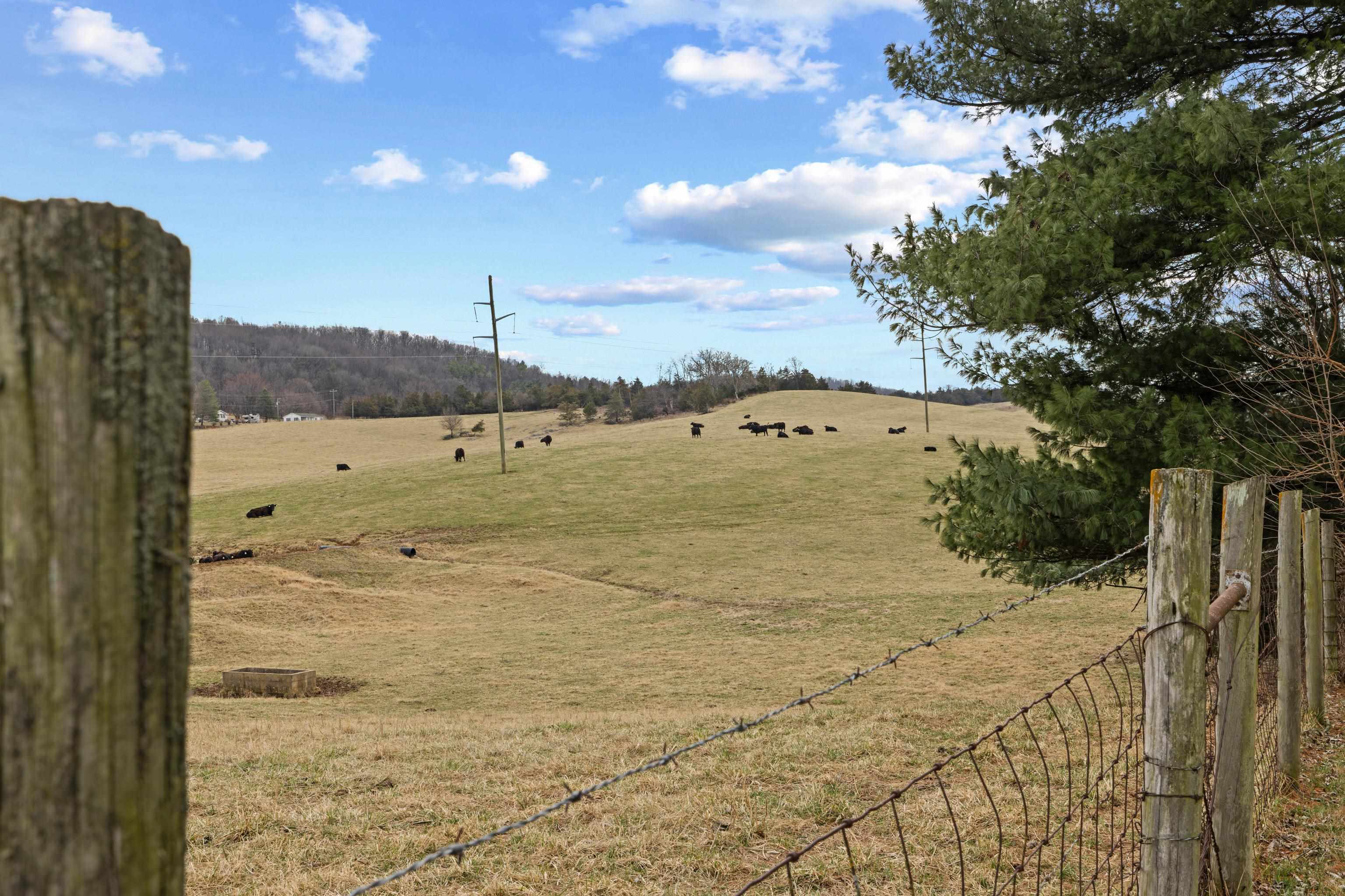 3493 Zion Church Road Broadway, VA 22815 - Photo 37 of 74 a view of a lake view