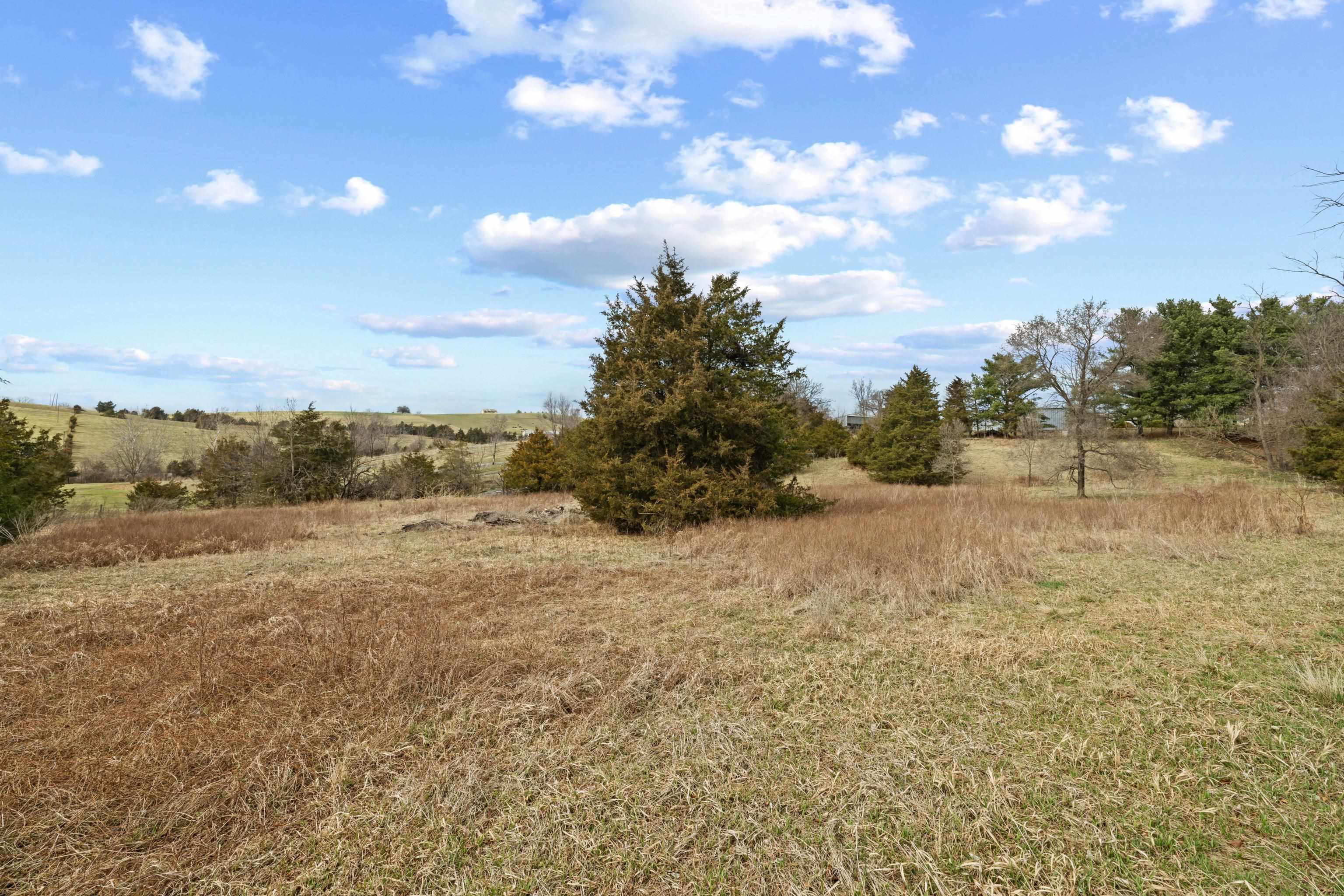 3493 Zion Church Road Broadway, VA 22815 - Photo 55 of 74