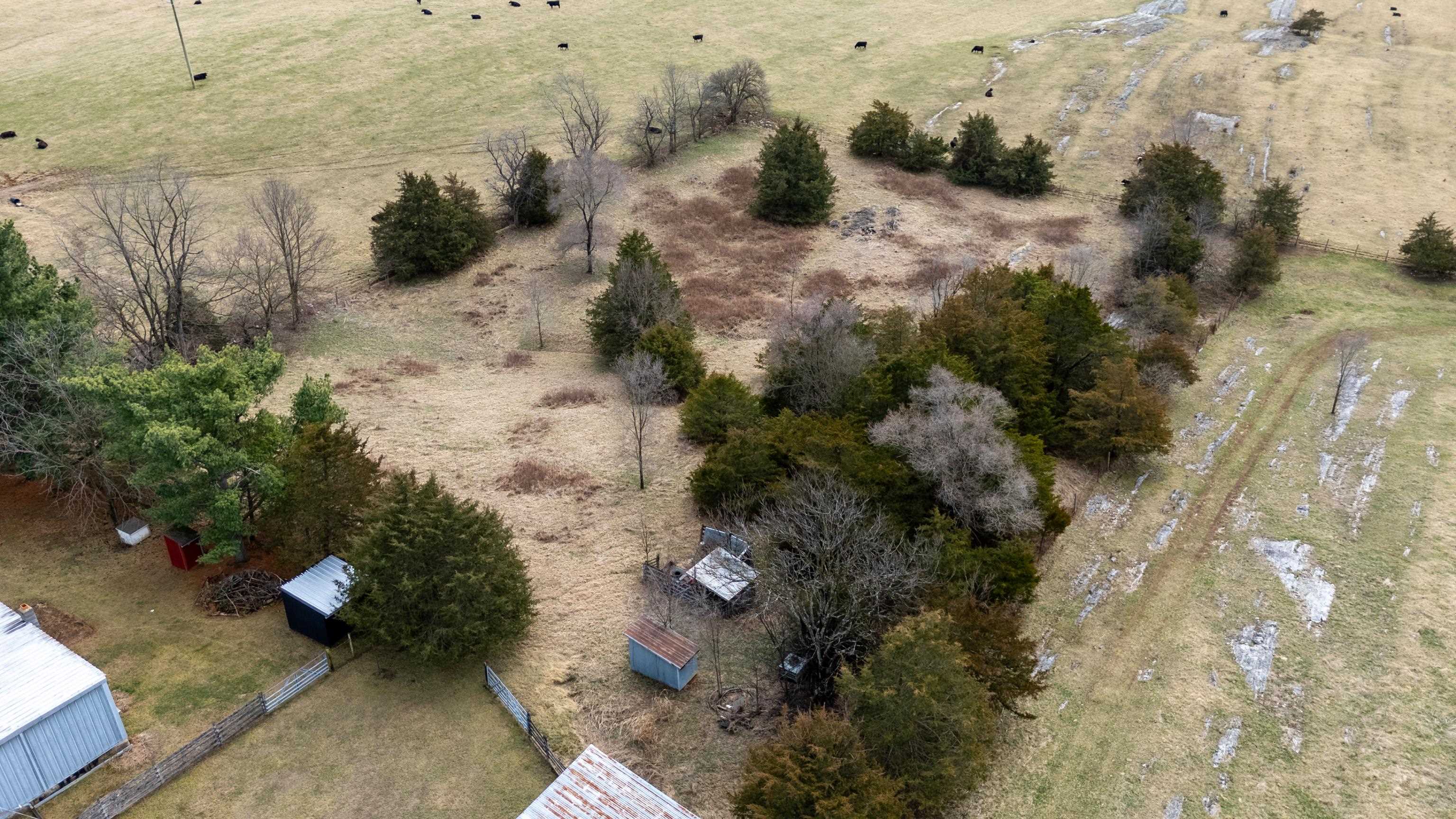 3493 Zion Church Road Broadway, VA 22815 - Photo 62 of 74 a view of backyard of a house