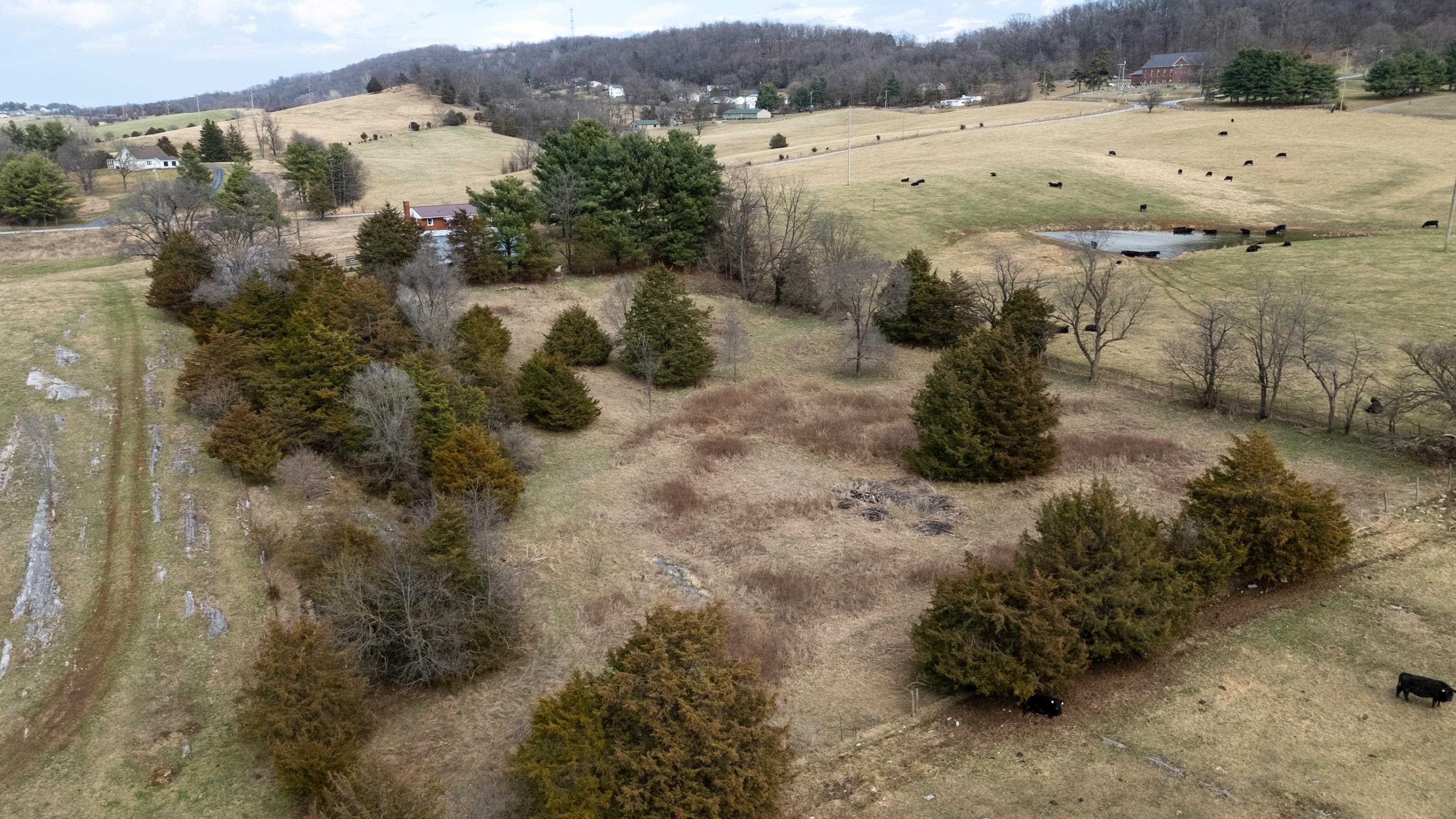 3493 Zion Church Road Broadway, VA 22815 - Photo 63 of 74