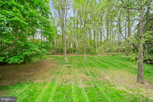 a view of yard with green space