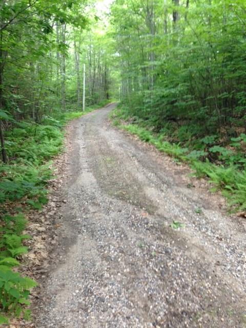 Johnson Johnson Road East Waterboro, ME 04030 - Photo 1 of 3 Road view