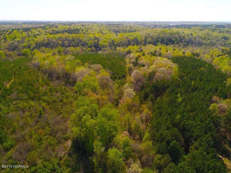 DJI_0479
