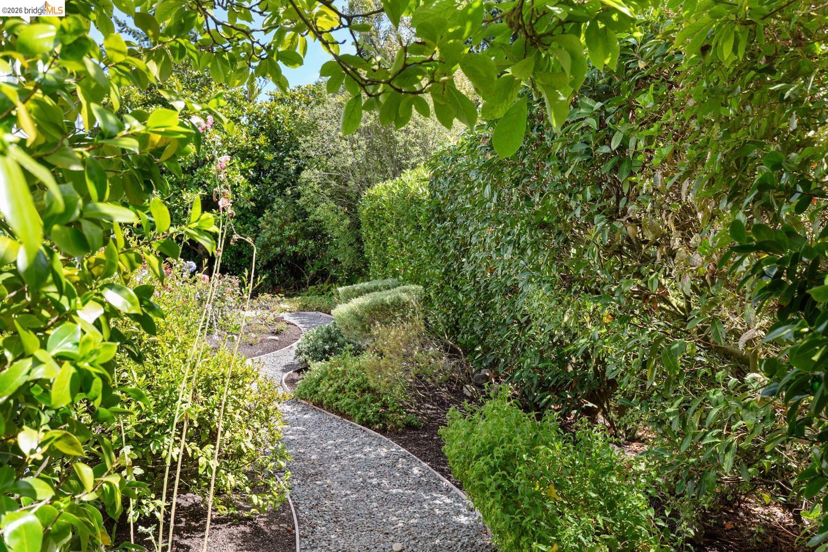1064 Overlook Road Berkeley, CA 94708 - Photo 45 of 56 Gallery Image 45
