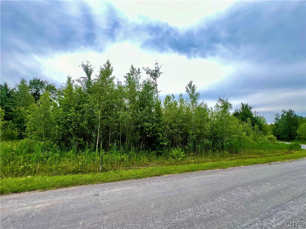 Lot 5 Forest Rdg Dr  