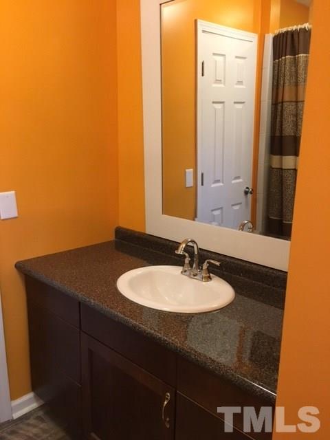 795 Old Durham Road Roxboro, NC 27573 - Photo 4 of 9 a bathroom with a sink and a mirror