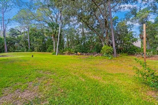 a view of a trees in a yard