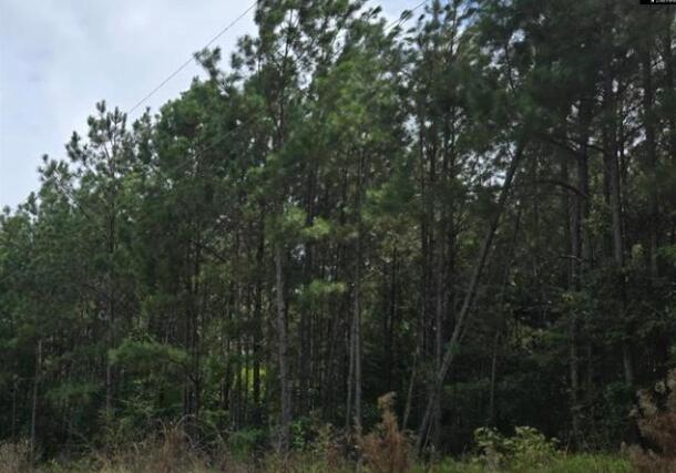 Ninety Six Old Edgefield Road Troy, SC 29848 - Photo 3 of 6 Screenshot 2025-08-19 091638
