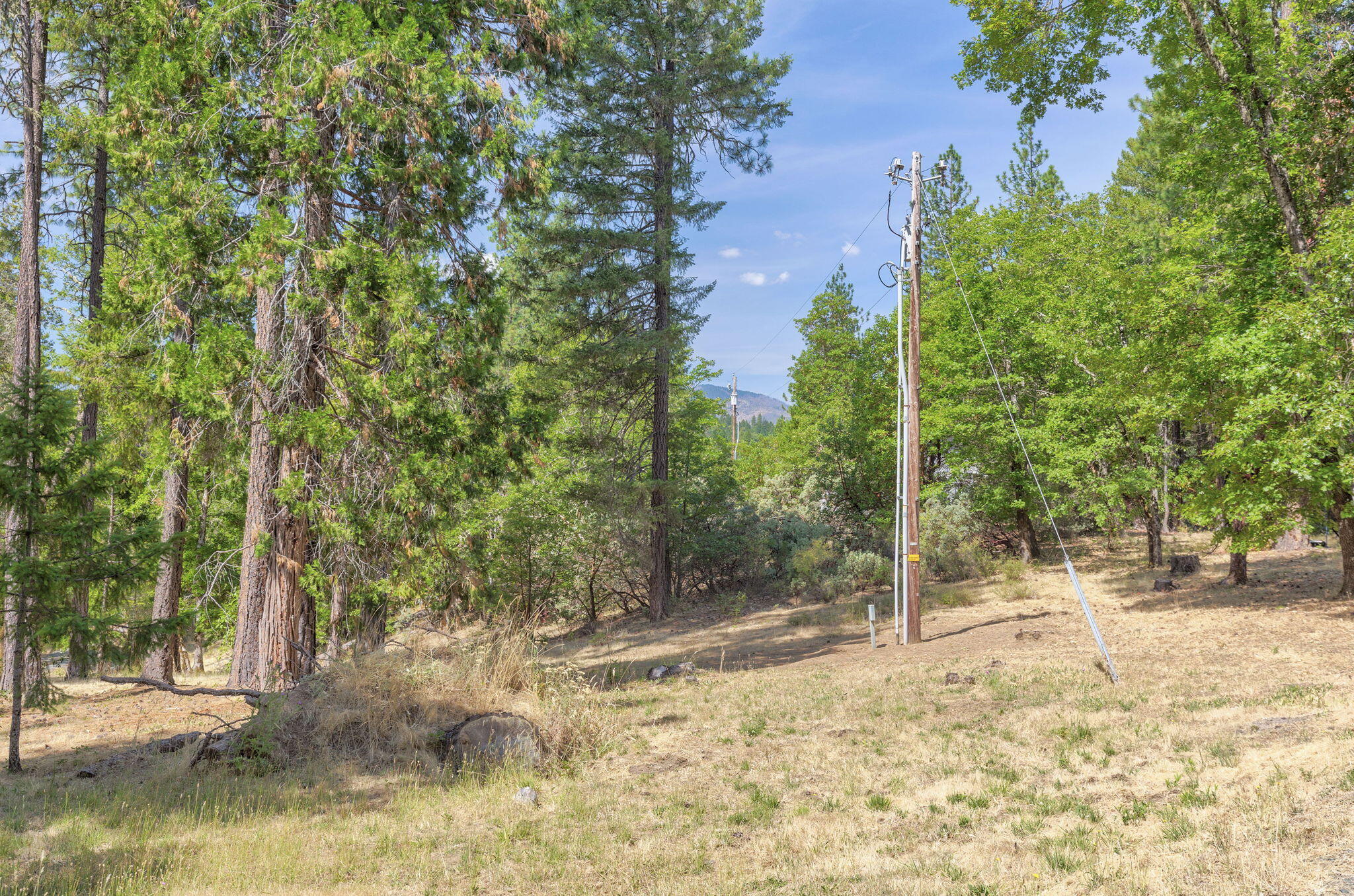 8860 Lower River Road Grants Pass, OR 97526 - Photo 36 of 48 a view of a yard with plants and trees