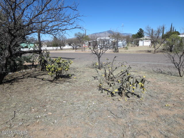 Tbd West Rice Road, Unit 350 Benson, AZ 85602 - Photo 7 of 8 Gallery Image 7