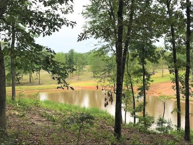 Parcel B Old Dibble Road Aiken, SC 29803 - Photo 1 of 17