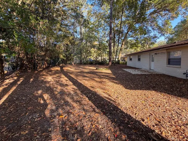 a view of a backyard with large trees