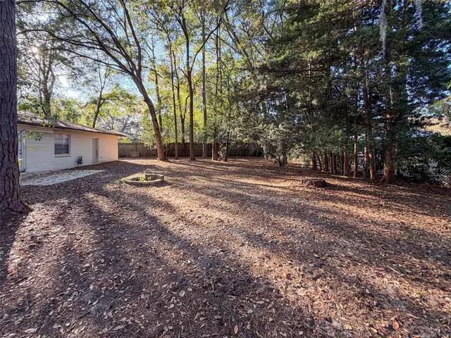 a view of dirt yard with a large tree