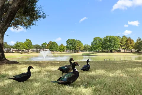 $575,000 | 8034 Ivy Bush Bend Lane, Richmond, TX 77407