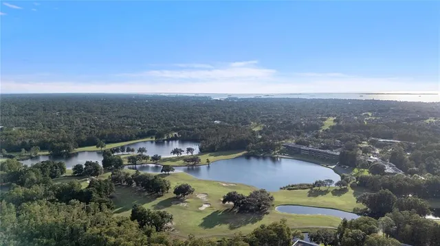 $1,600 | 2250 Portofino Place, Unit 237, Palm Harbor, FL 34683