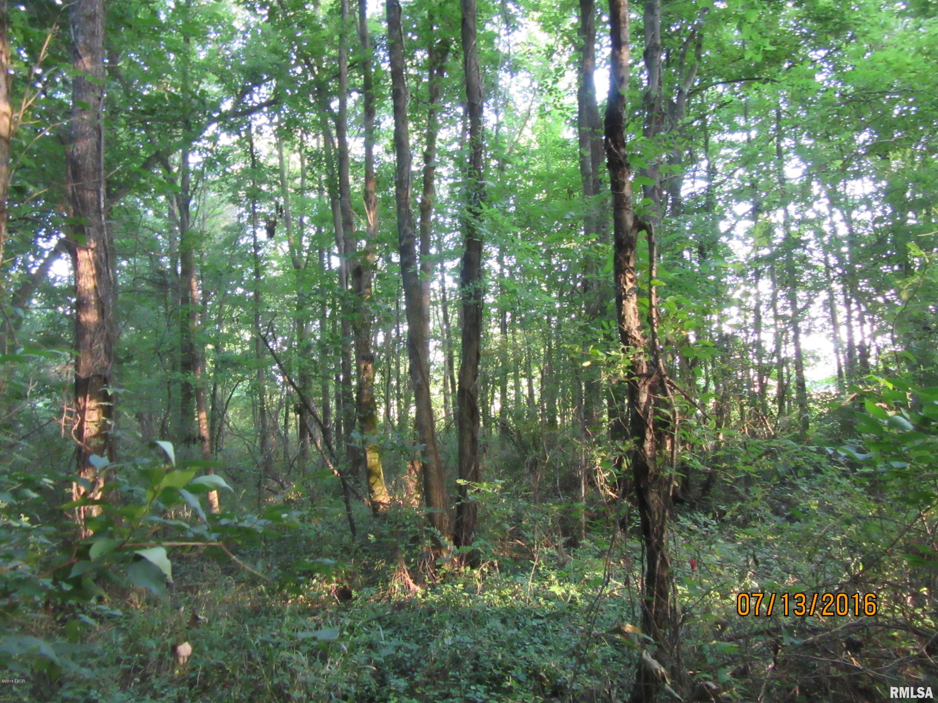 0 Shawnee College Road Ullin, IL 62992 - Photo 7 of 7 Gallery Image 7