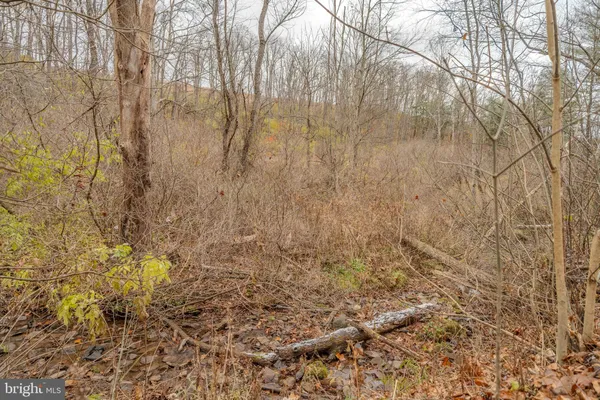 $1,650,000 | 1840 Masden Hollow Road, Beech Creek, PA 16822