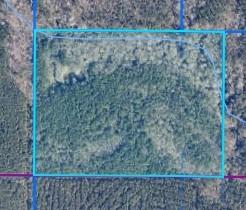 Tbd Red Rock Road Robeline, LA 71469 - Photo 1 of 3 Gallery Image 1