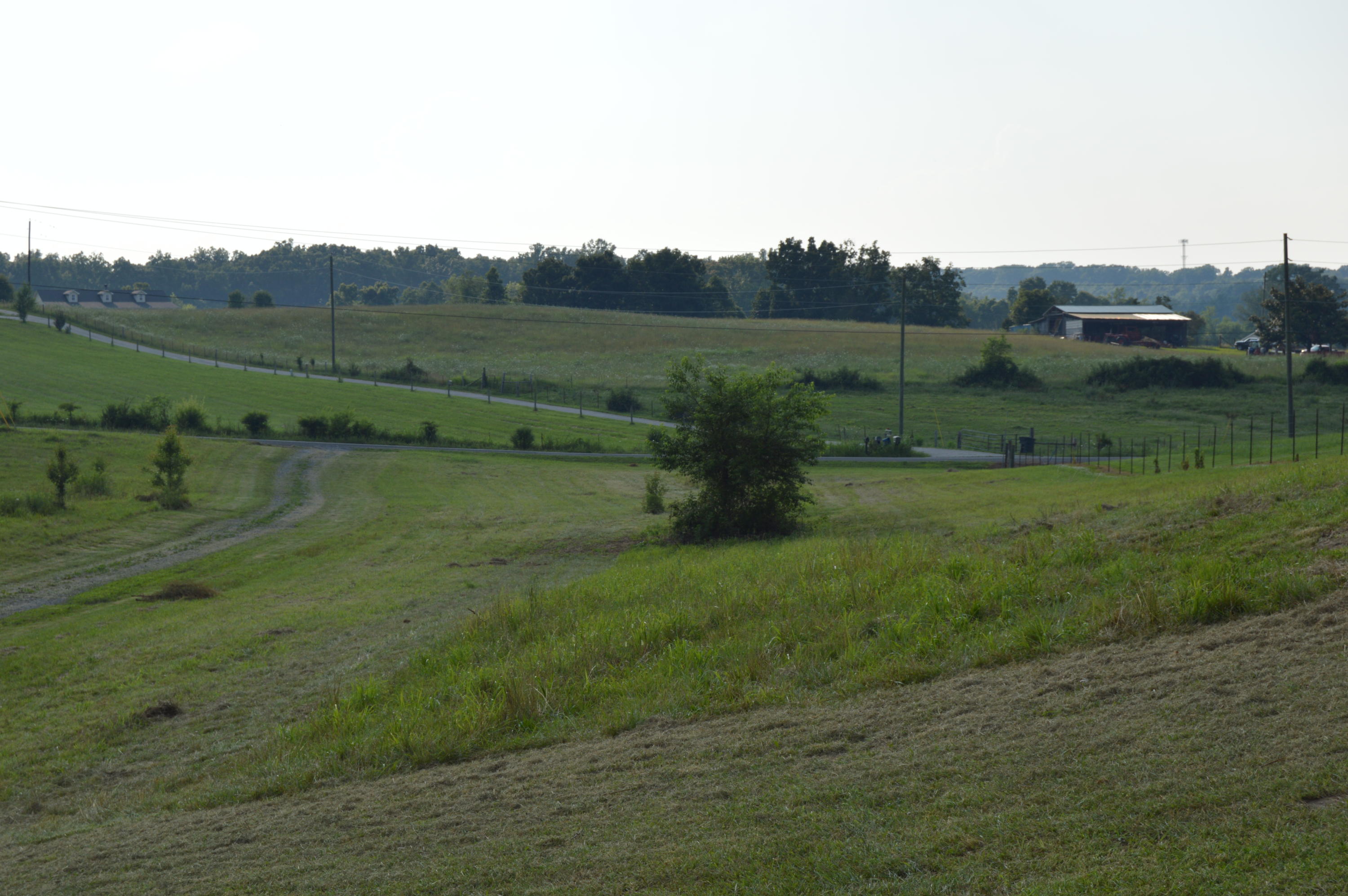161 Lees Chapel Road Sweetwater, TN 37874 - Photo 26 of 26 DSC_0083