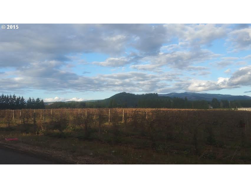 34479 Meridian Road Lebanon, OR 97355 - Photo 12 of 12 Gallery Image 12