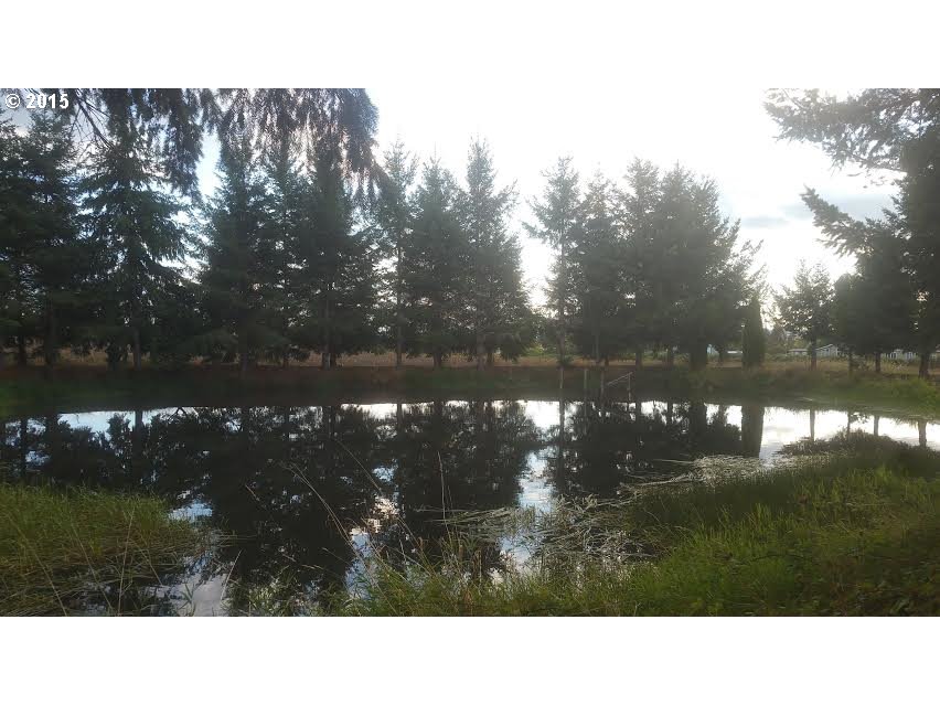 34479 Meridian Road Lebanon, OR 97355 - Photo 2 of 12 Gallery Image 2