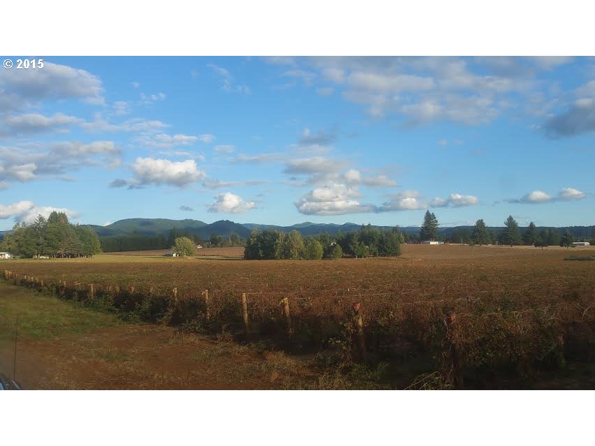 34479 Meridian Road Lebanon, OR 97355 - Photo 8 of 12 Gallery Image 8