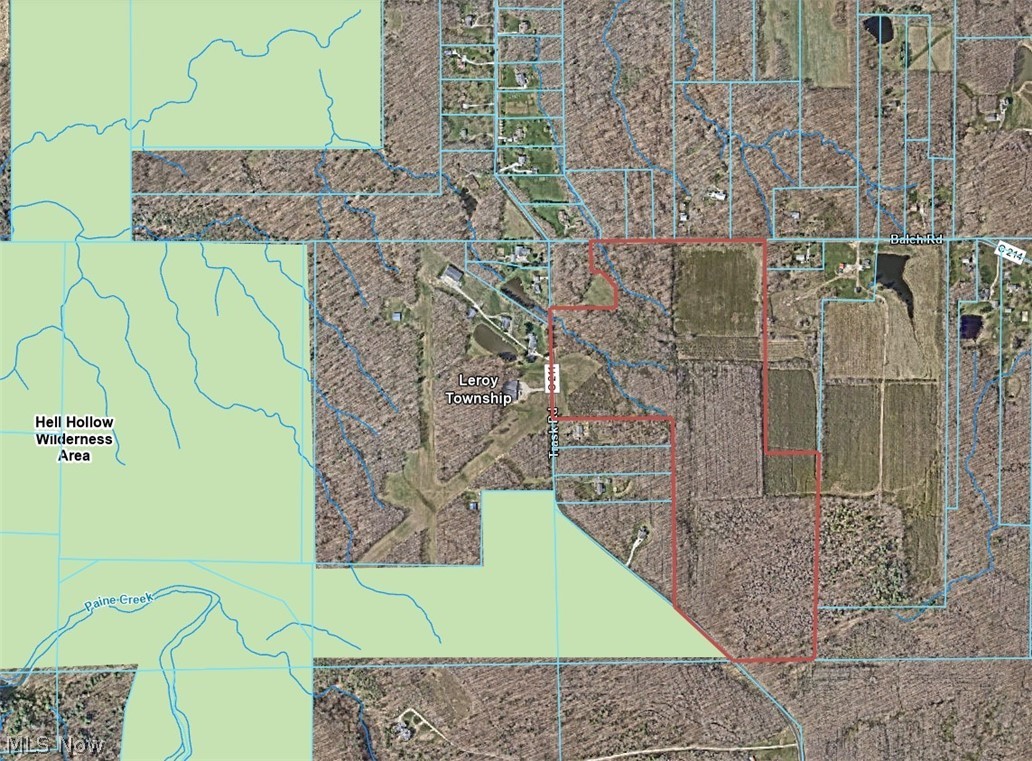 Balch Road Thompson, OH 44086 - Photo 7 of 11 Plat Map. Illustrating the property's boundaries and its geographical context within Leroy Township