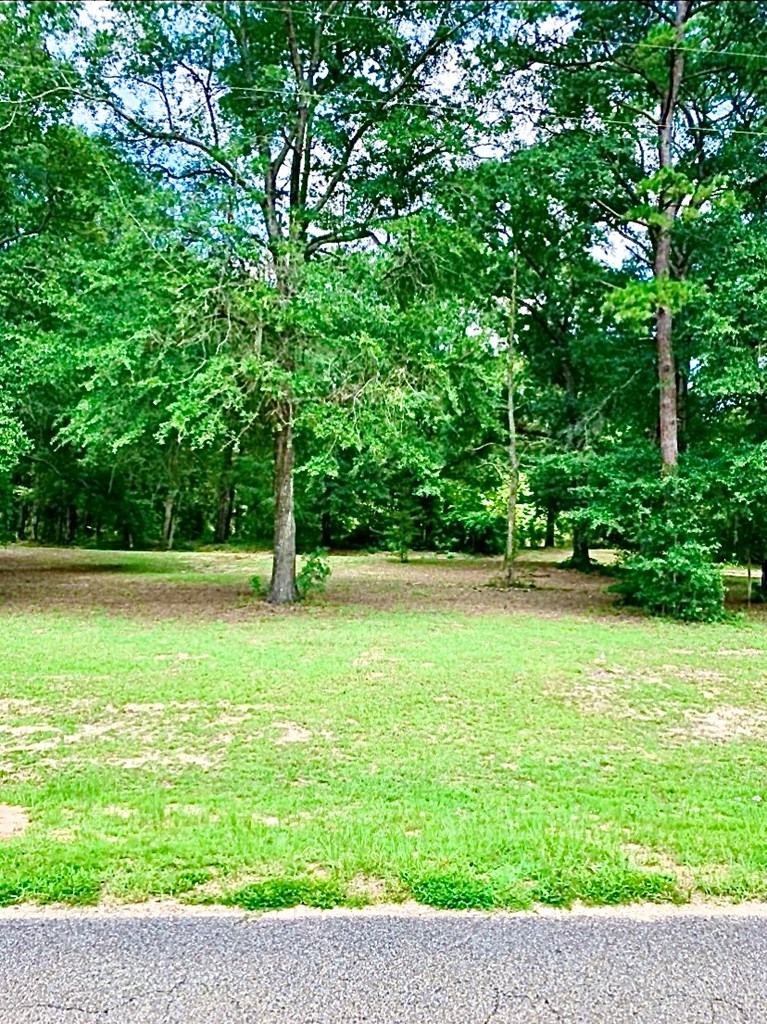0 County Road 53 Abbeville, AL 36310 - Photo 10 of 10