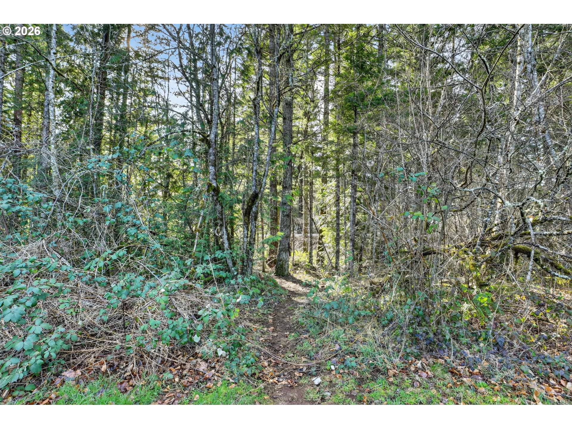 26200 Highway 211 Estacada, OR 97023 - Photo 15 of 24